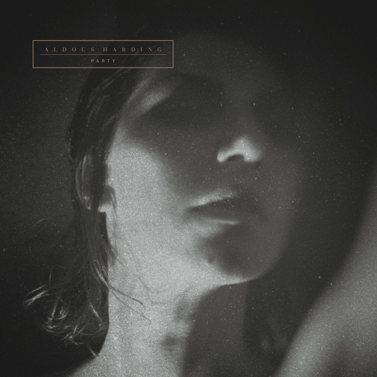 ALDOUS HARDING 'PARTY'