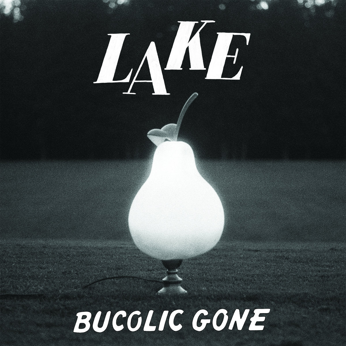 LAKE 'BUCOLIC GONE'