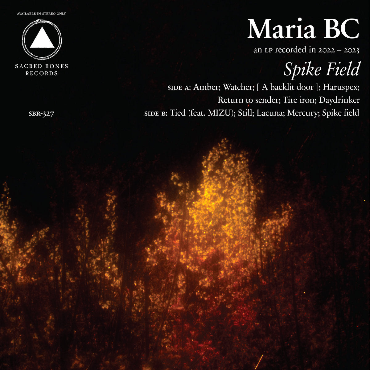 MARIA BC 'SPIKE FIELD'