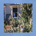 红色、粉色和紫色“ANXIETY ART -LTD. BLUE VINYL-”