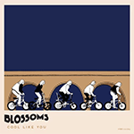 BLOSSOMS 'COOL LIKE YOU'