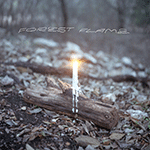 SHEA MCGILVRAY 'FOREST FLAMES'