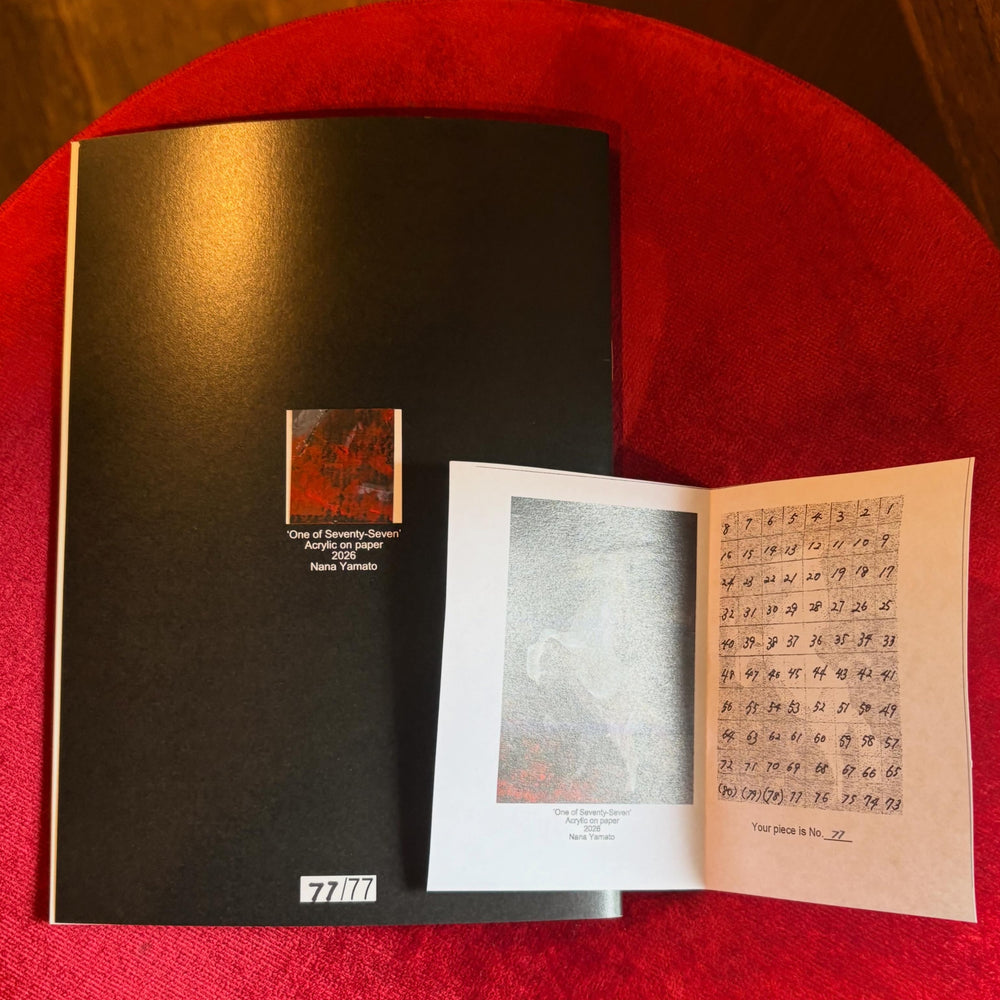 NANA YAMATO 'HORSIN’ AROUND ZINE'