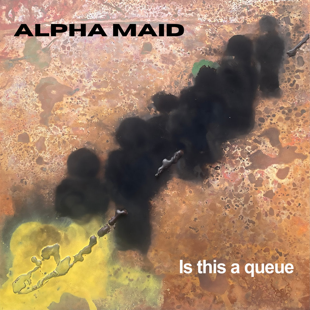 ALPHA MAID 'IS THIS A QUEUE'