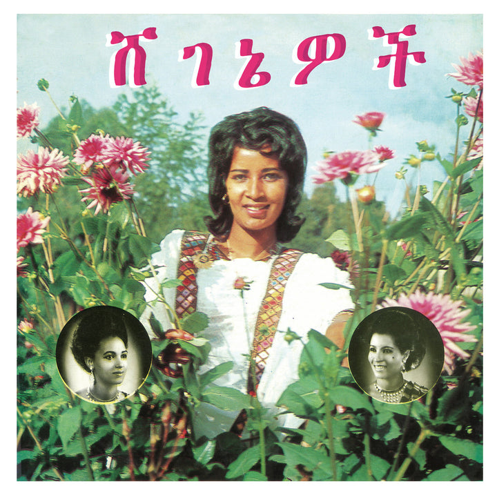ASELEFECH ASHINE 和 GETENESH KEBRET “美女”