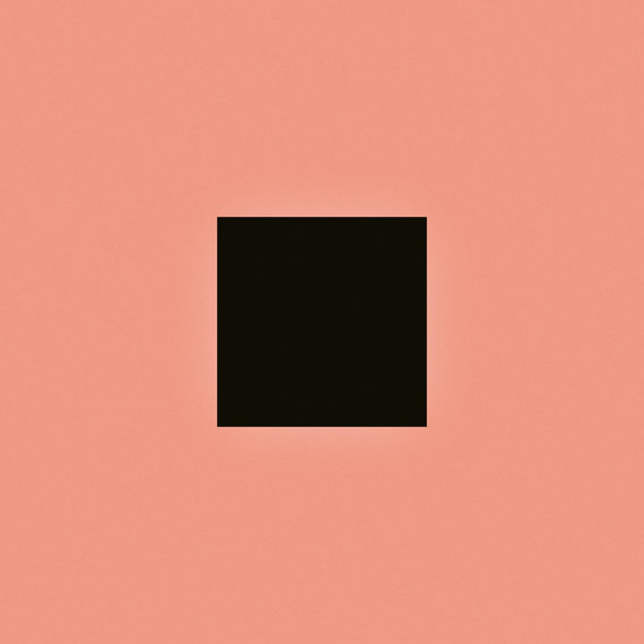 BON IVER 'SABLE, fABLE'