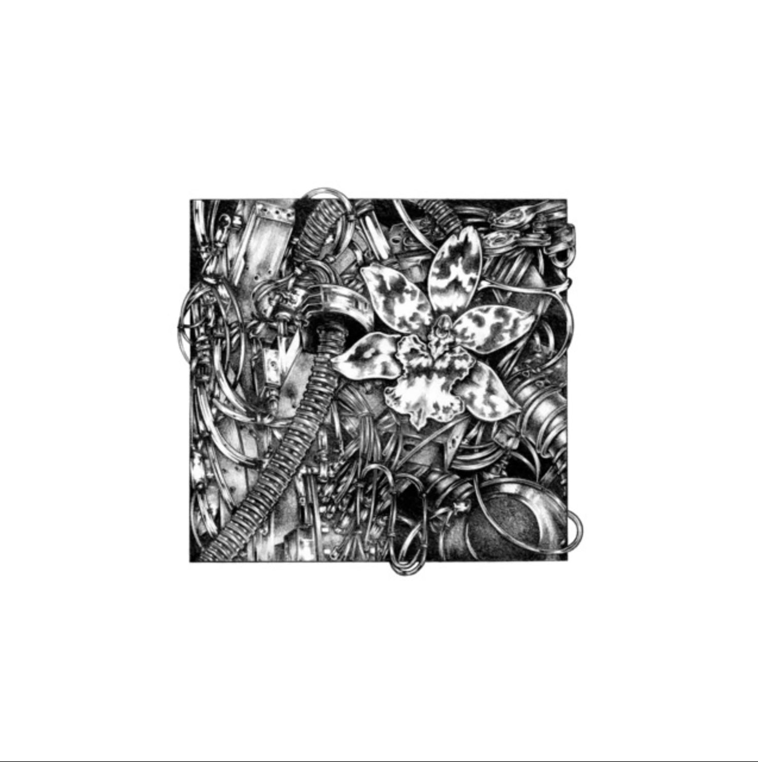 BRANDON JUHANS 'RECYCLER'