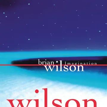 BRIAN WILSON 'IMAGINATION'