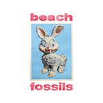 海滩化石“兔子”