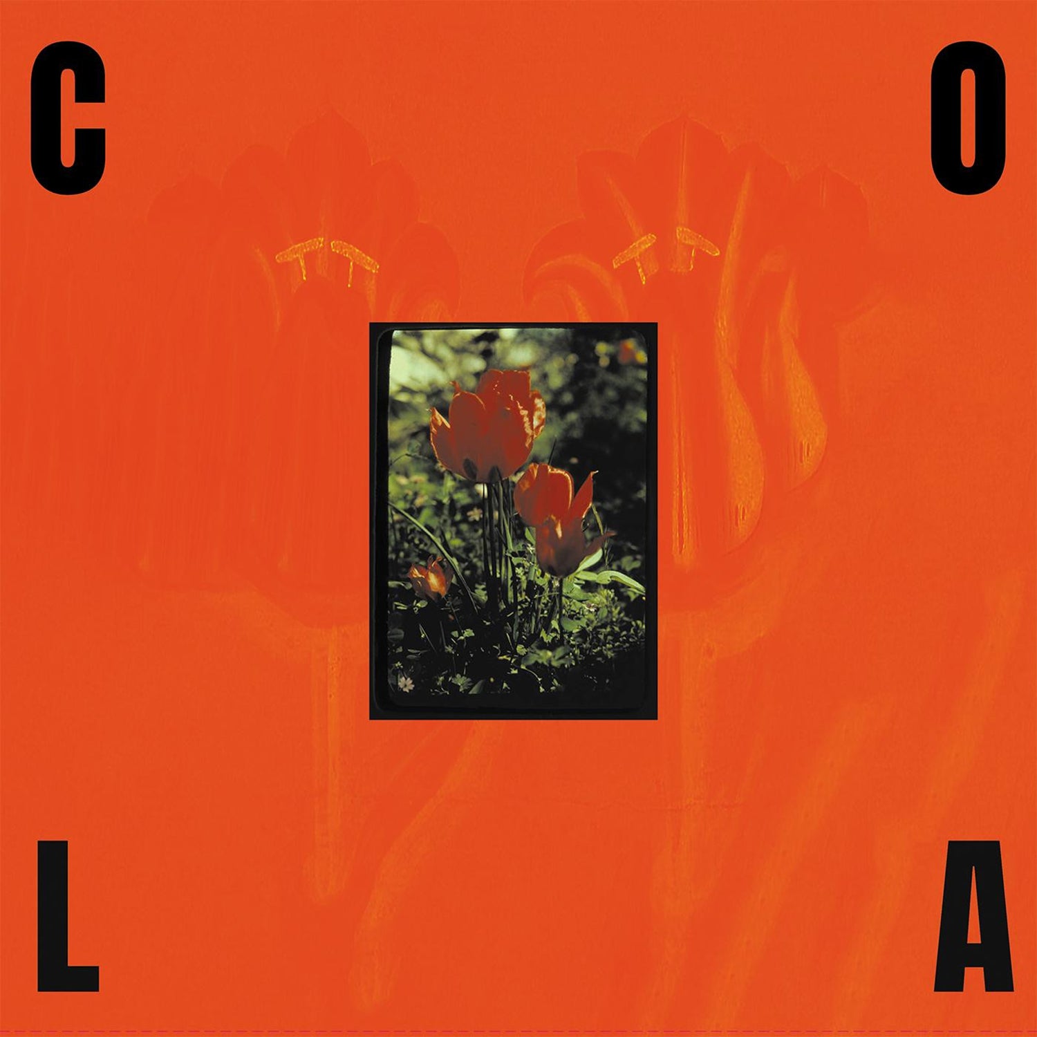 COLA 'THE GLOSS'