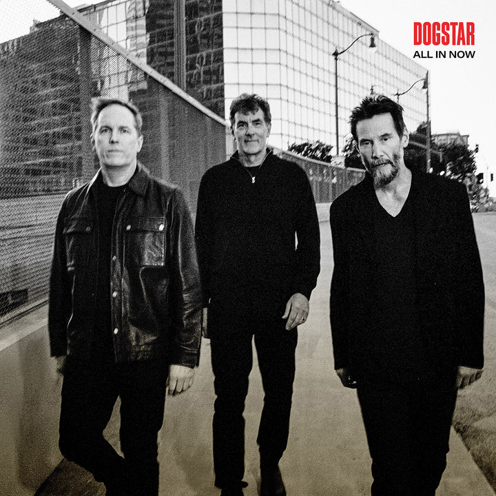 DOGSTAR 'ALL IN NOW'