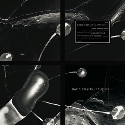 DAVID SYLVIAN 'CAMPHOR II'