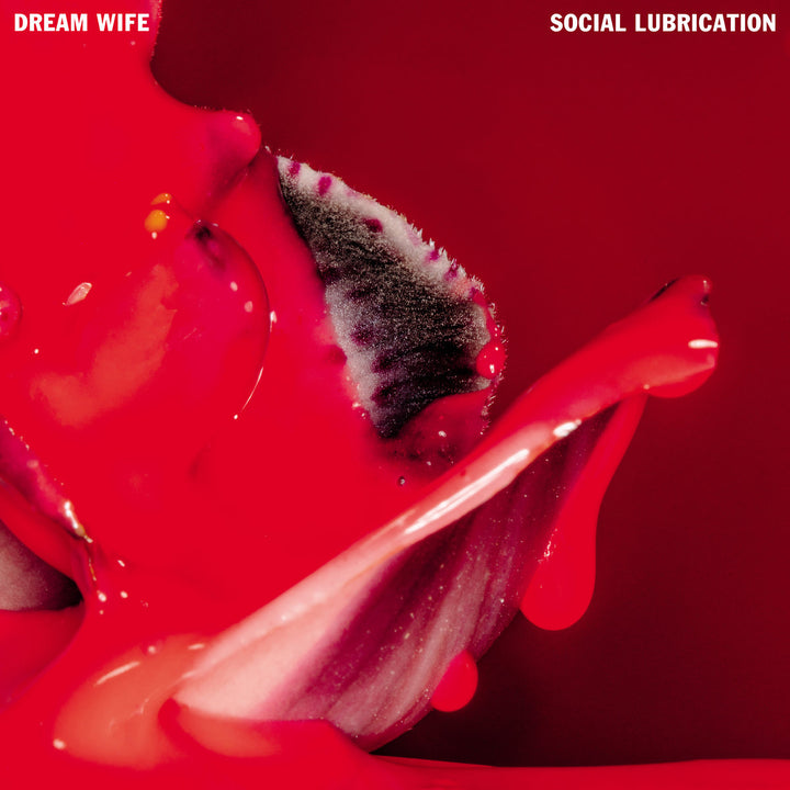 DREAM WIFE 'SOCIAL LIBRICATION'