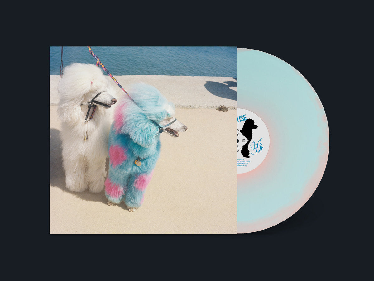 Back In – BIG LOVE RECORDS