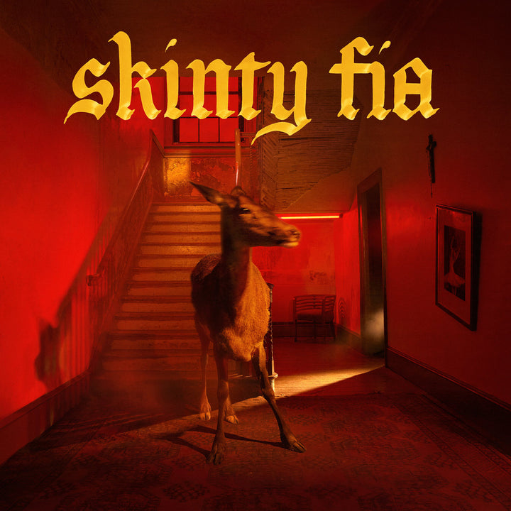 FONTAINES D.C. 'SKINTY FIA'