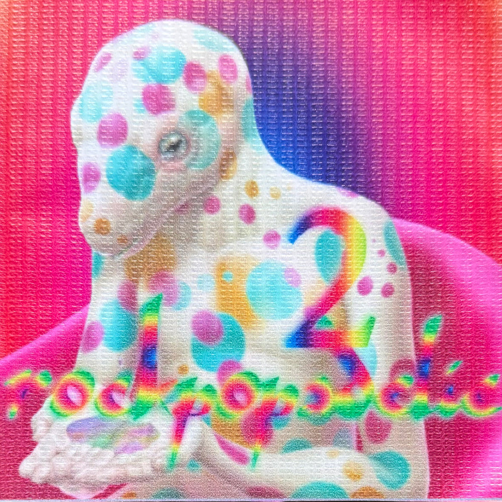 HIRAKISH 'NEW AGE ROCKPOPADLEIC 2'
