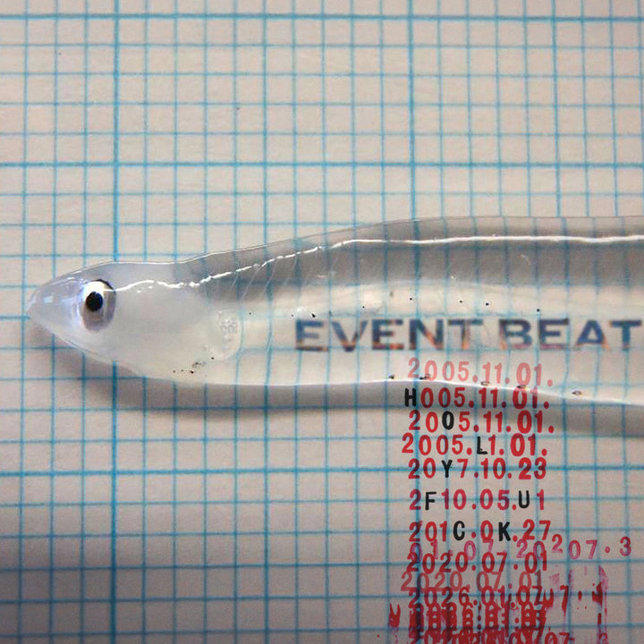 HOLY FUCK 'EVENT BEAT'