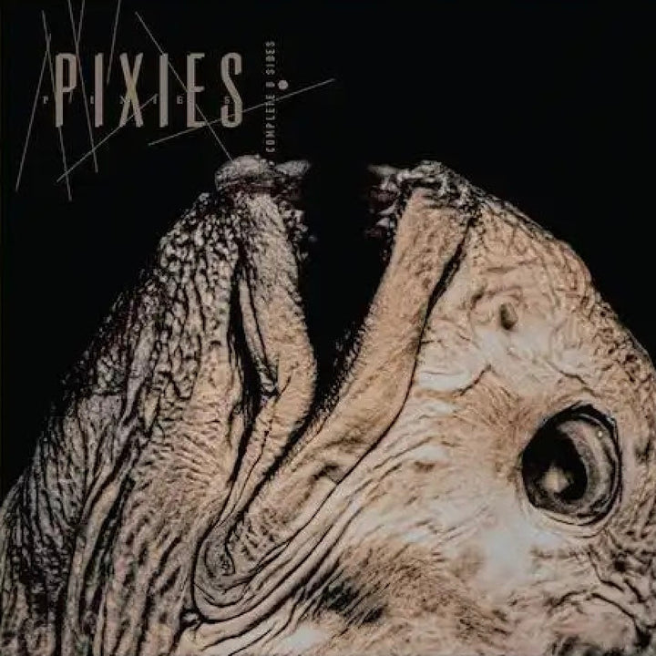 PIXIES 'COMPLATE B SIDES: 1988-97'