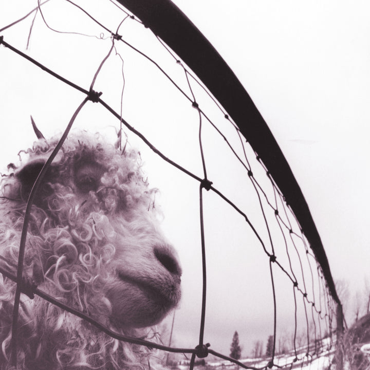 PEARL JAM 'Vs. -30TH ANNIVERSARY EDITION-'