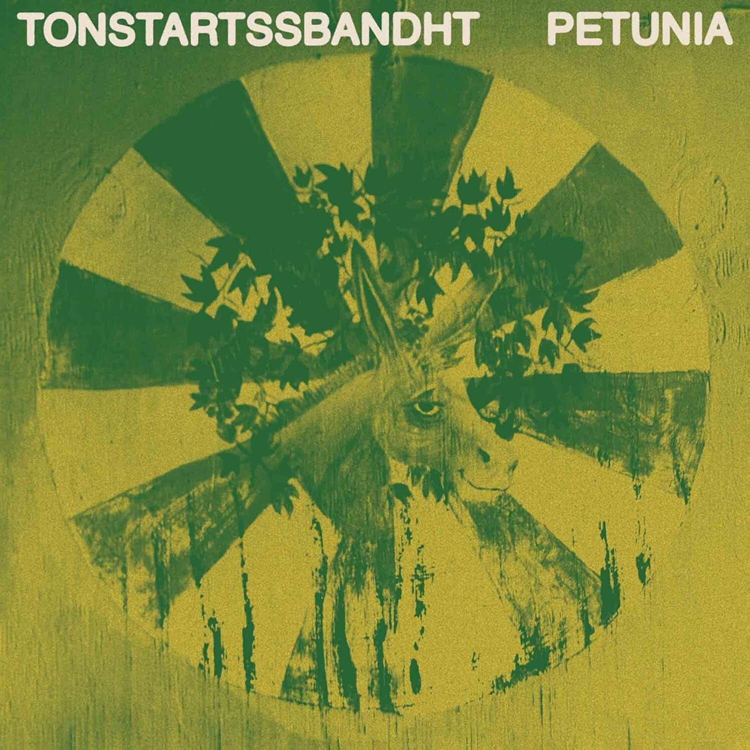 TONSTARTSSBANDHT 'PETUNIA'