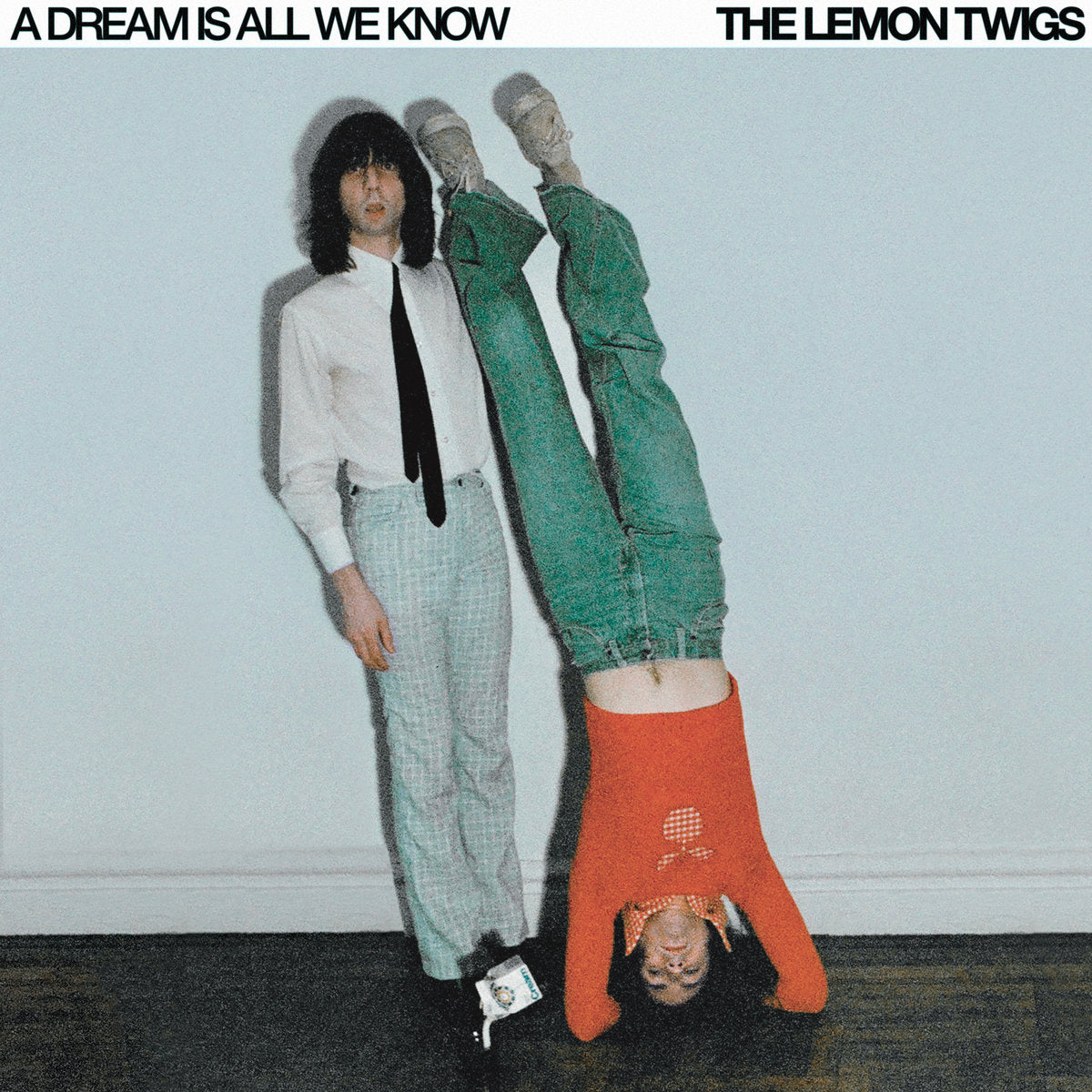 The LEMON TWIGS 'A DREAM IS ALL WE KNOW'
