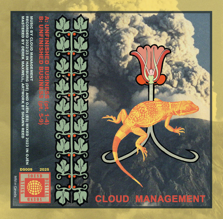 CLOUD MANAGEMENT 'UNFINISHED BUSINESS'