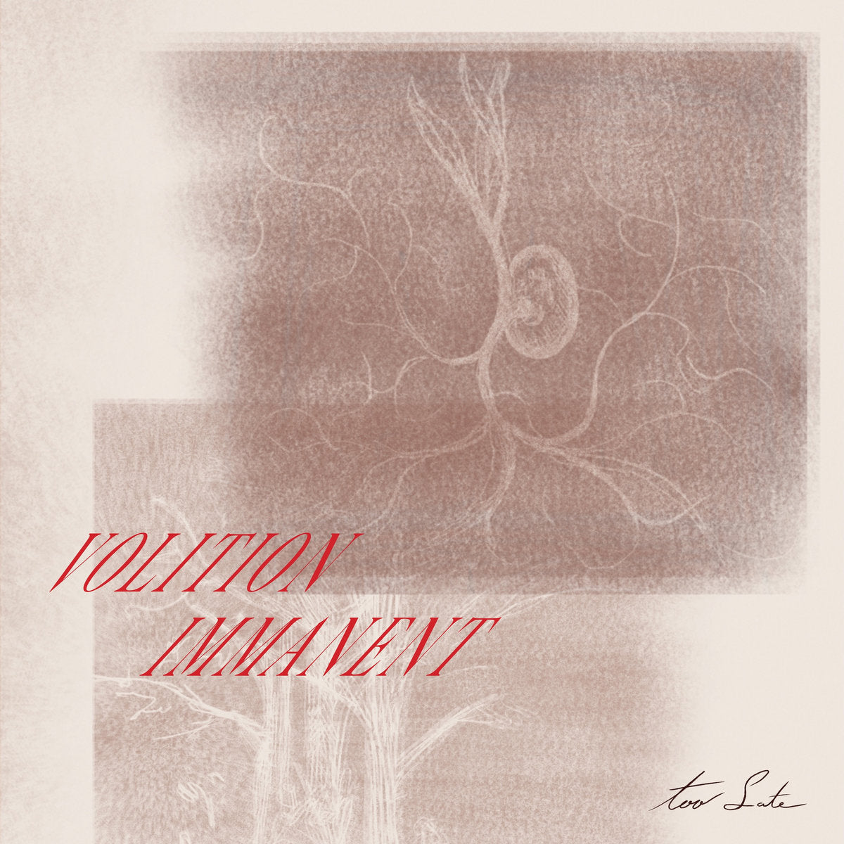VOLITION IMMANENT 'TOO LATE'