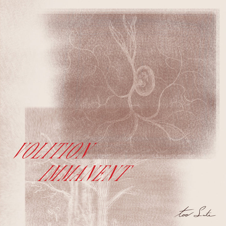 VOLITION IMMANENT 'TOO LATE'