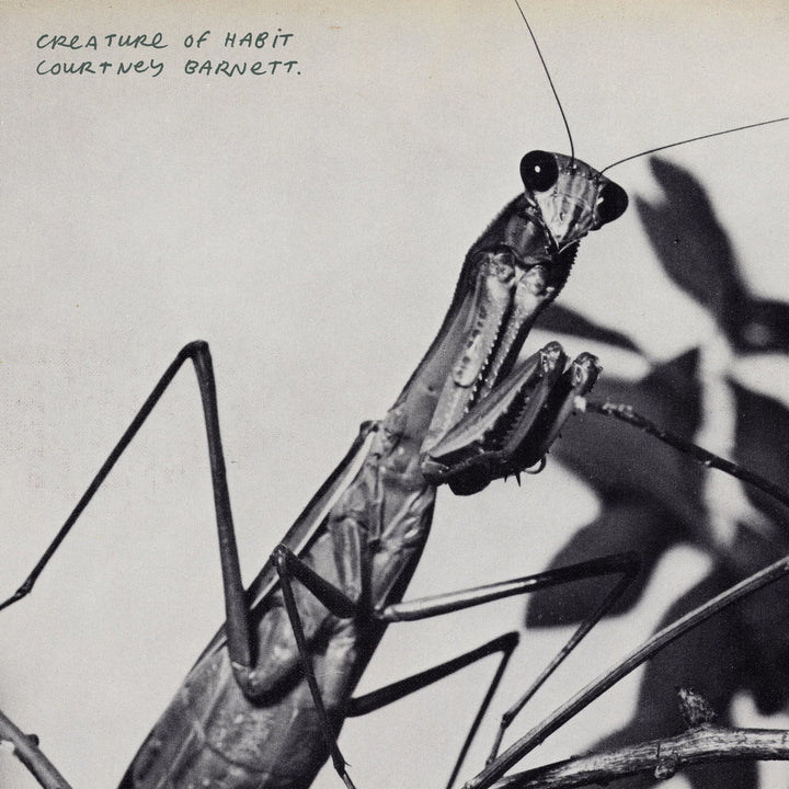 COURTNEY BARNETT 'CREATURE OF HABIT'