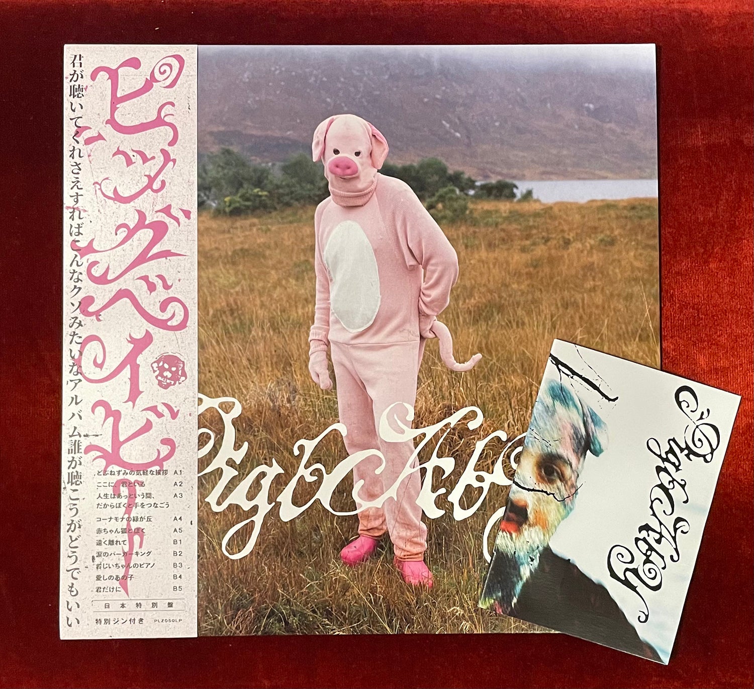 2024年11月のアーカイブ – BIG LOVE RECORDS