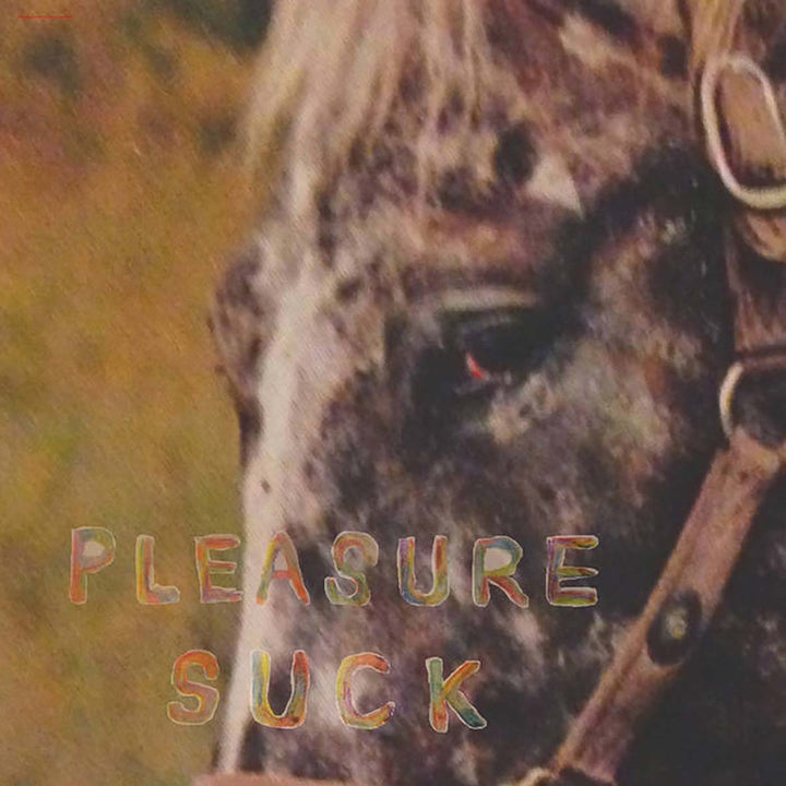 The SPIRIT OF THE BEEHIVE 'PLEASURE SUCK'