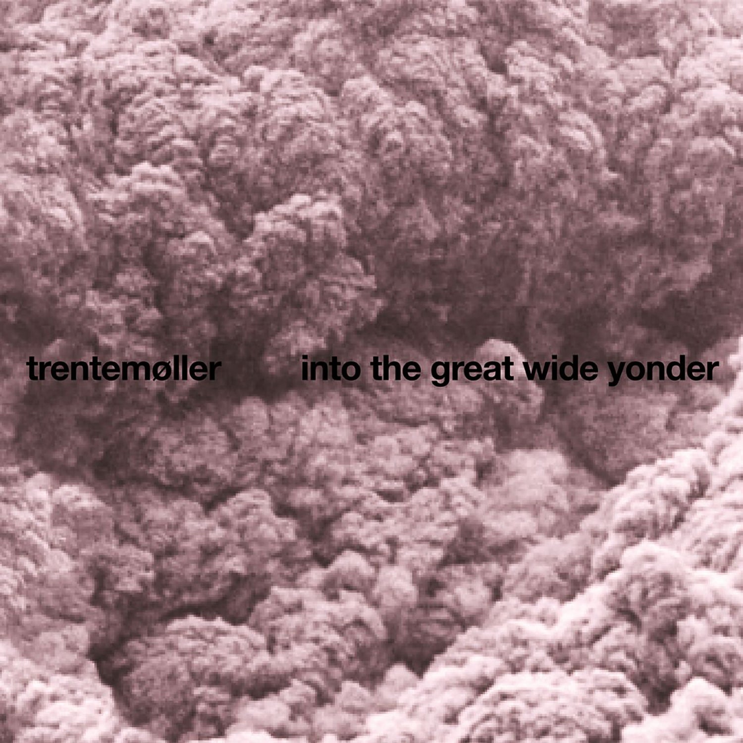 trentemoller 'into the great wide'