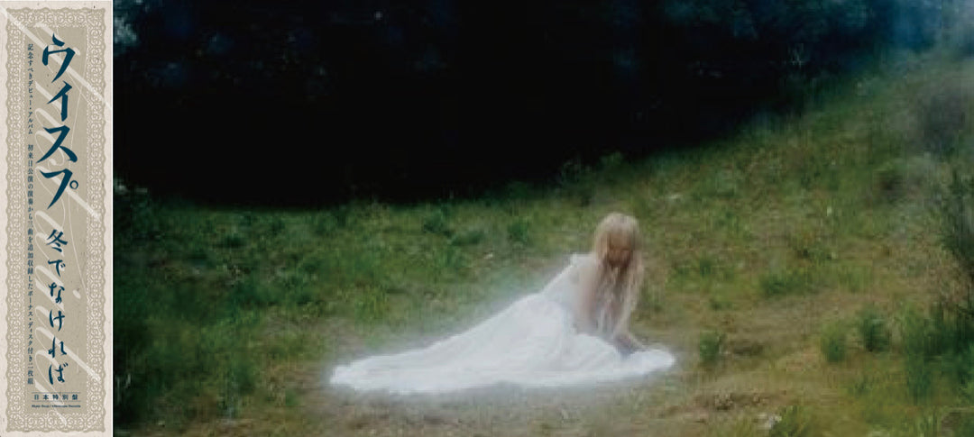 wisp-banner