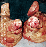 阿曼德·汉默与炼金术士“HARAM -LTD.日本黑胶-”LP