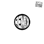 DEHD“奉献之花混音版”