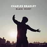CHARLES BRADLEY 'BLACK VELVET'