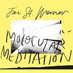 JAN ST. WERNER 'MOLOCULAR MEDITATION (FEATURING MARK E SMITH)'